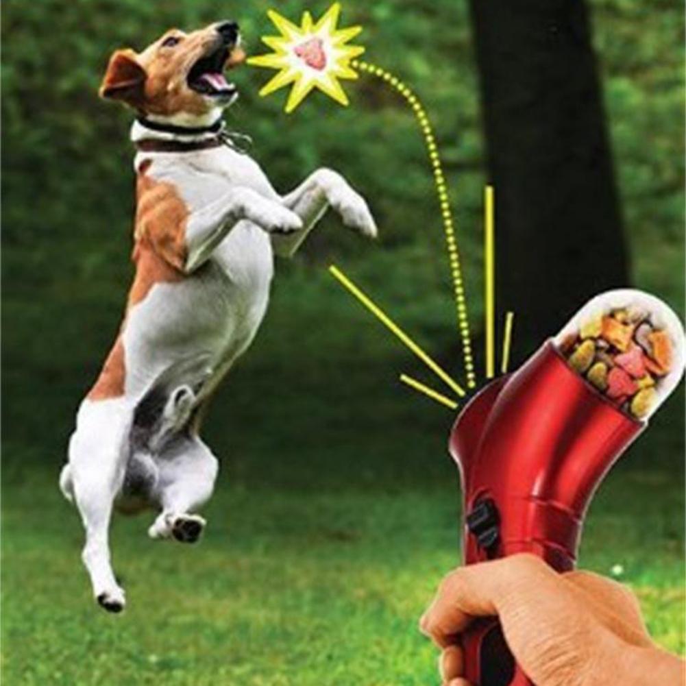 Pet Essentials